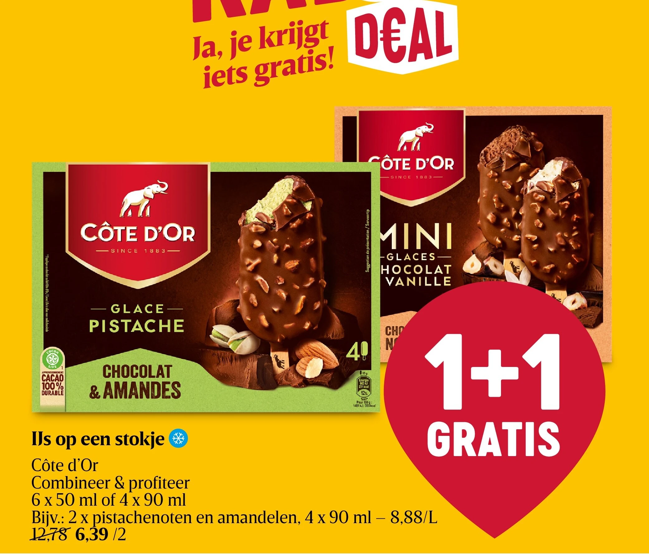 IJs op een stokje