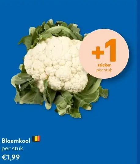 Bloemkool