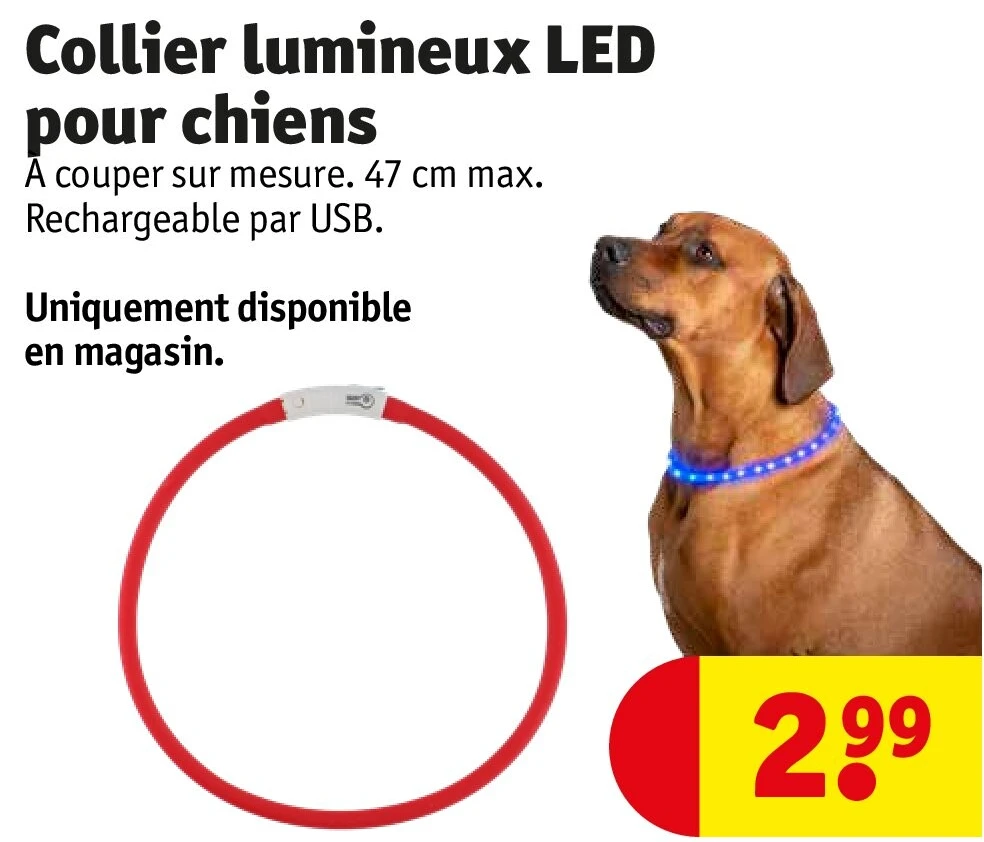 Collier lumineux LED pour chiens