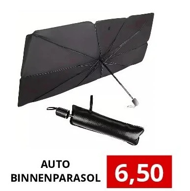 AUTO BINNENPARASOL