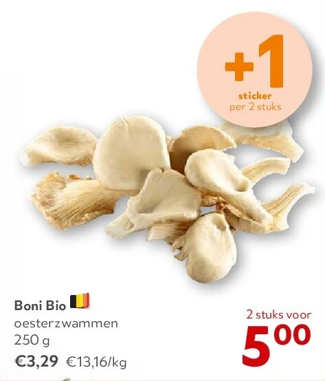 Boni Bio oesterzwammen 250 g