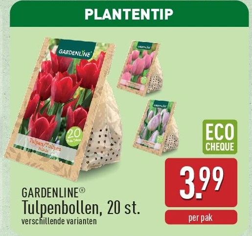 Tulpenbollen, 20st.