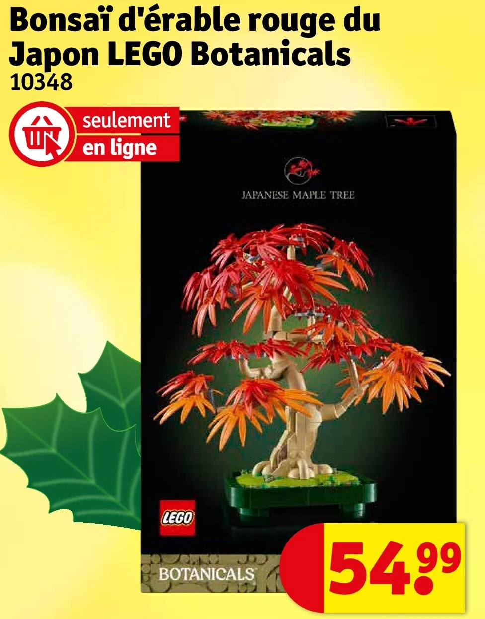 Bonsaï d'érable rouge du Japon LEGO Botanicals
