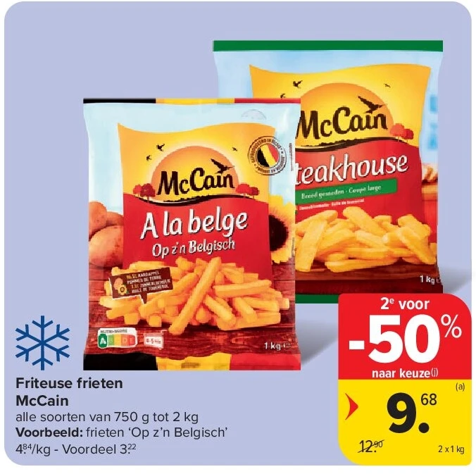 Friteuse frieten McCain
