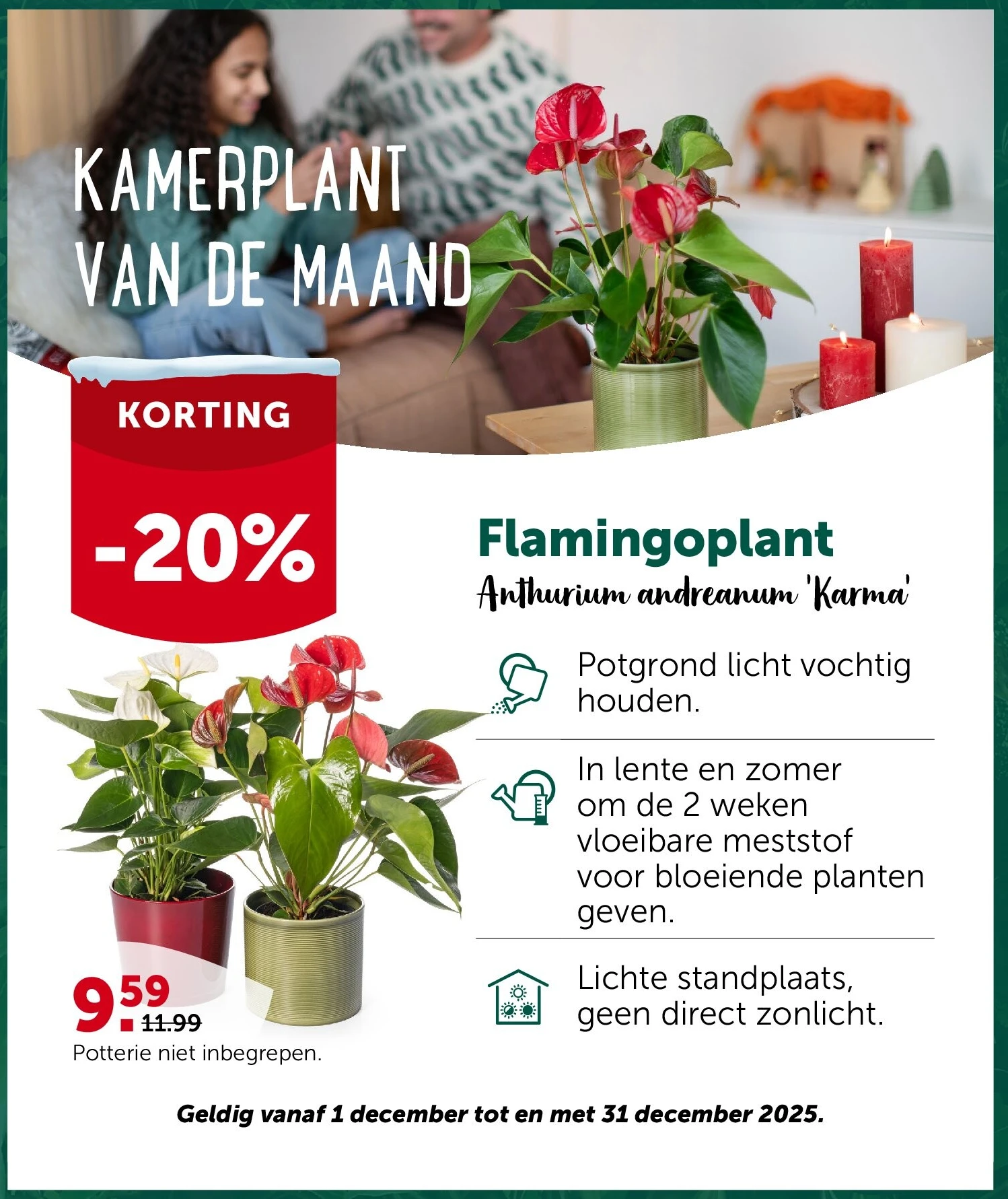 KAMERPLANT VAN DE MAAND