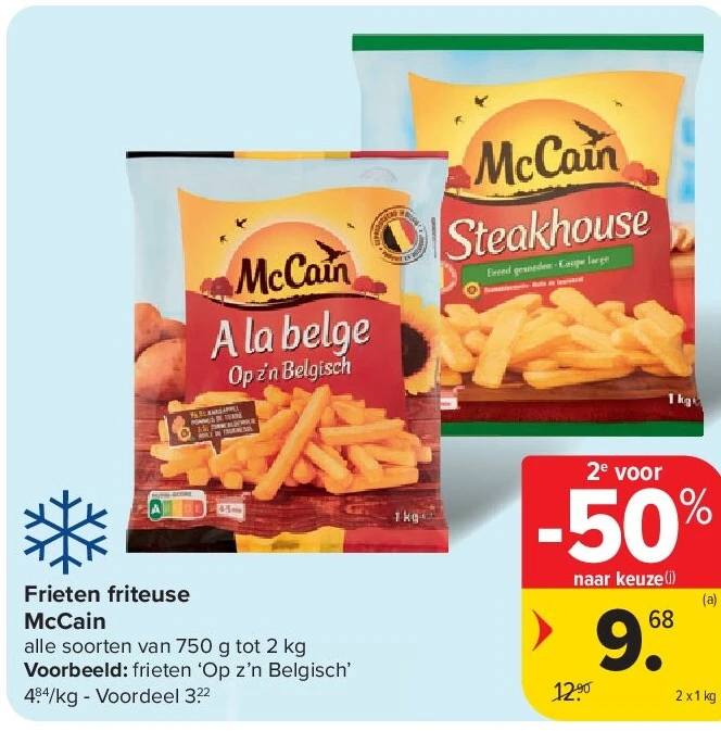 Frieten friteuse McCain