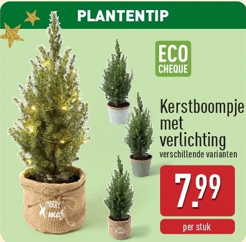 Kerstboompje met verlichting