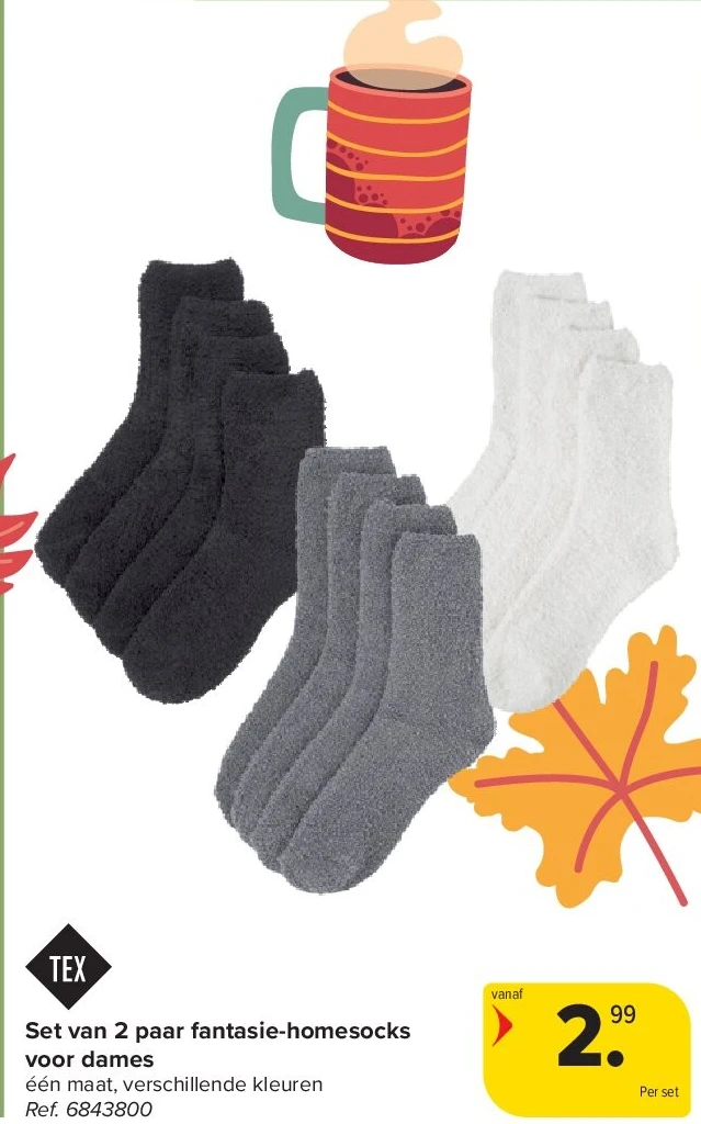 Set van 2 paar fantasie-homesocks voor dames