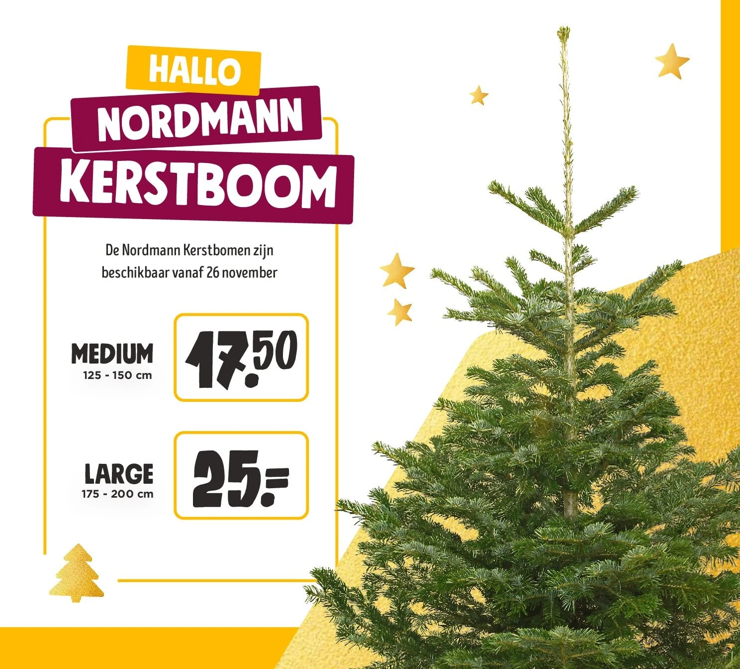 Nordmann kerstboom Medium