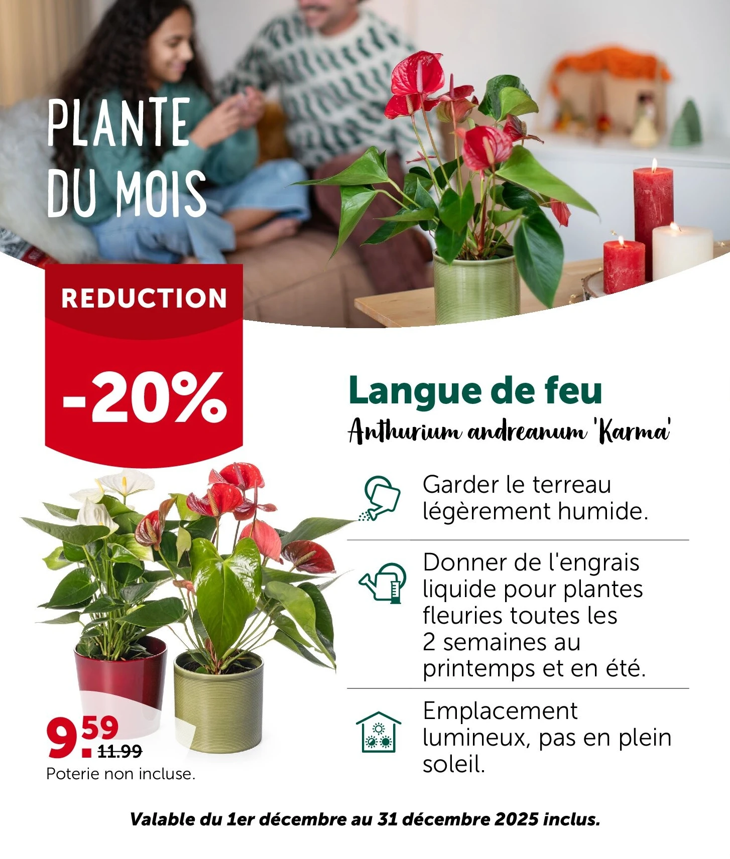 PLANTE DU MOIS