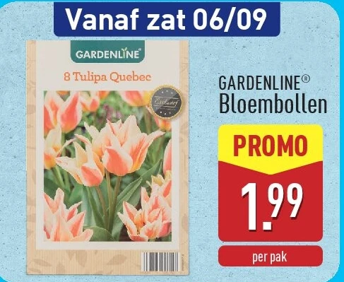 Bloembollen