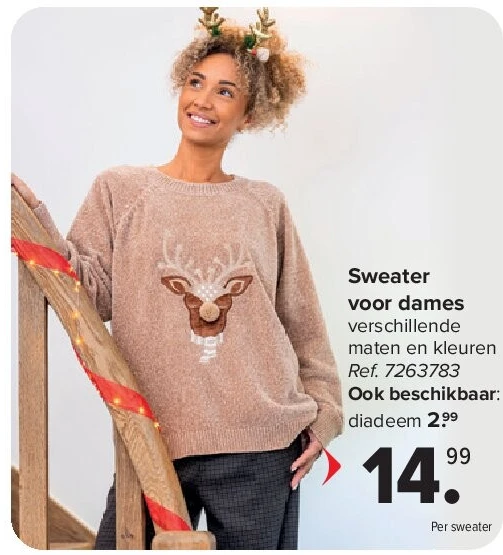 Sweater voor dames
