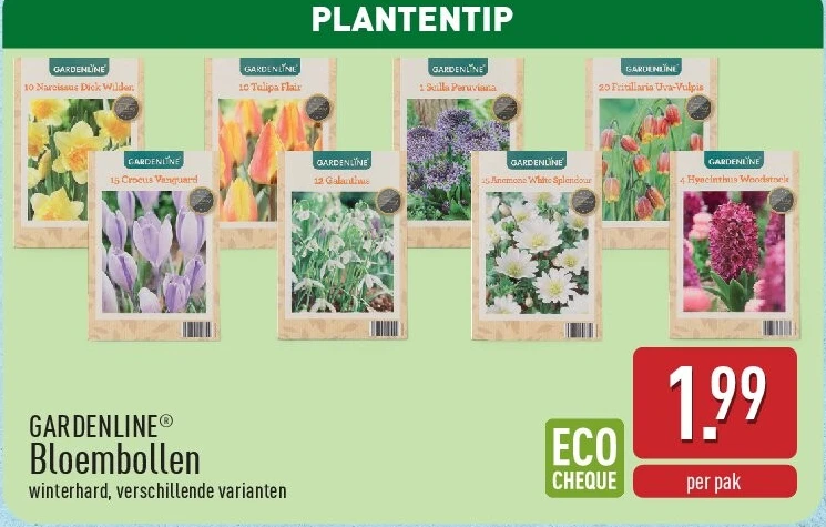 Bloembollen