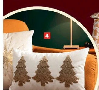 Geborduurd kussen - 30 x 50 cm