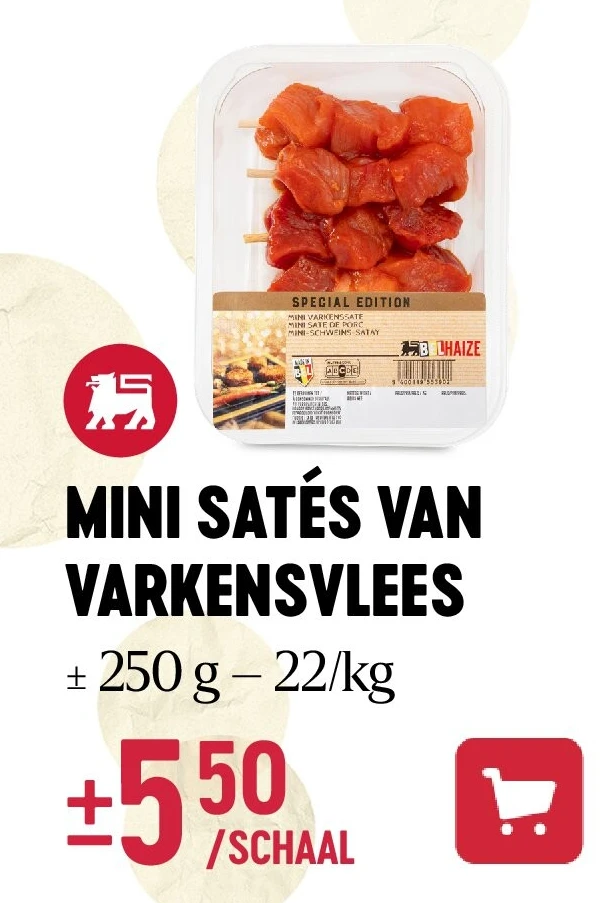 MINI SATÉS VAN VARKENSVLEES