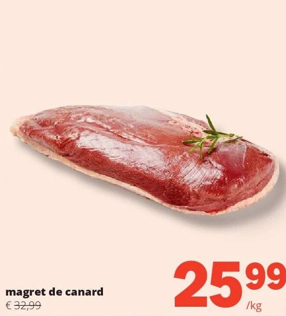 magret de canard