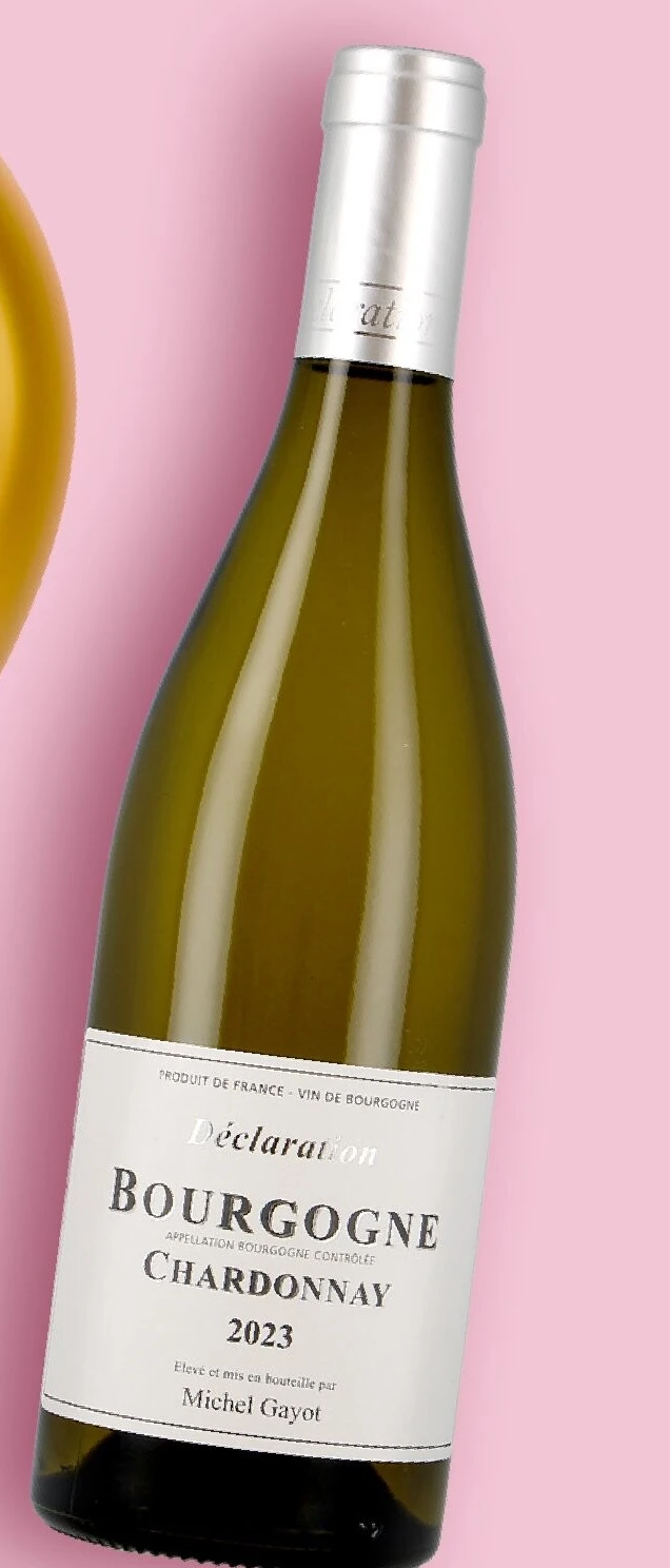 Michel Gayot Bourgogne Chardonnay 2023