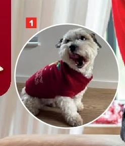 Kersttrui voor honden