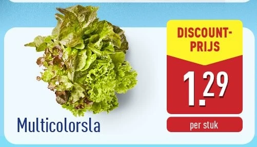 Multicolorsla