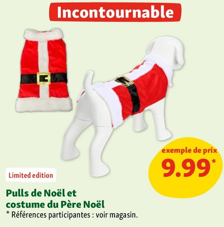 Pulls de Noël et costume du Père Noël