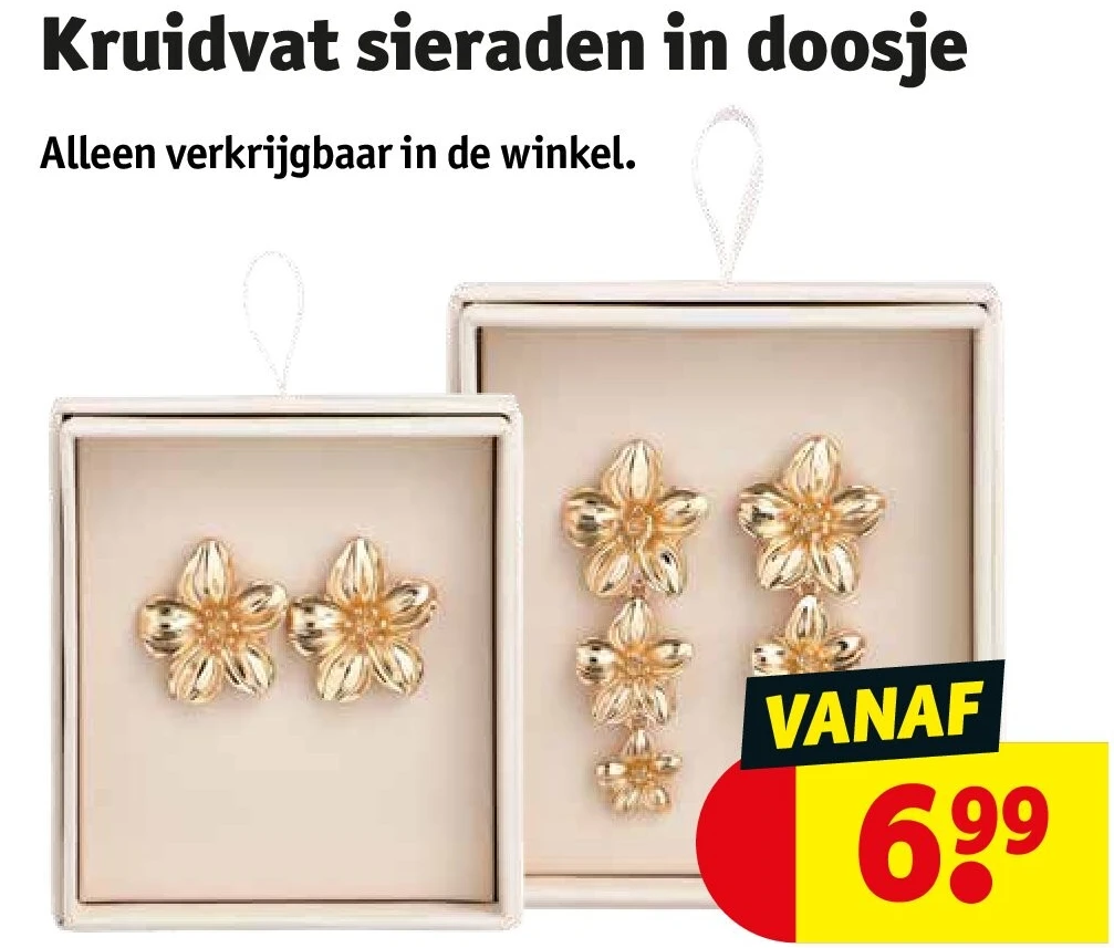 Kruidvat sieraden in doosje