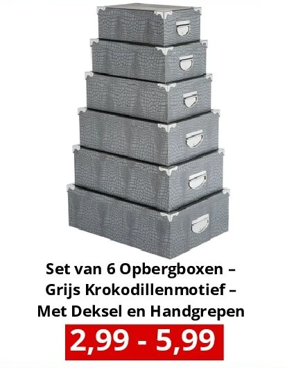Set van 6 Opbergboxen – Grijs Krokodillenmotief – Met Deksel en Handgrepen