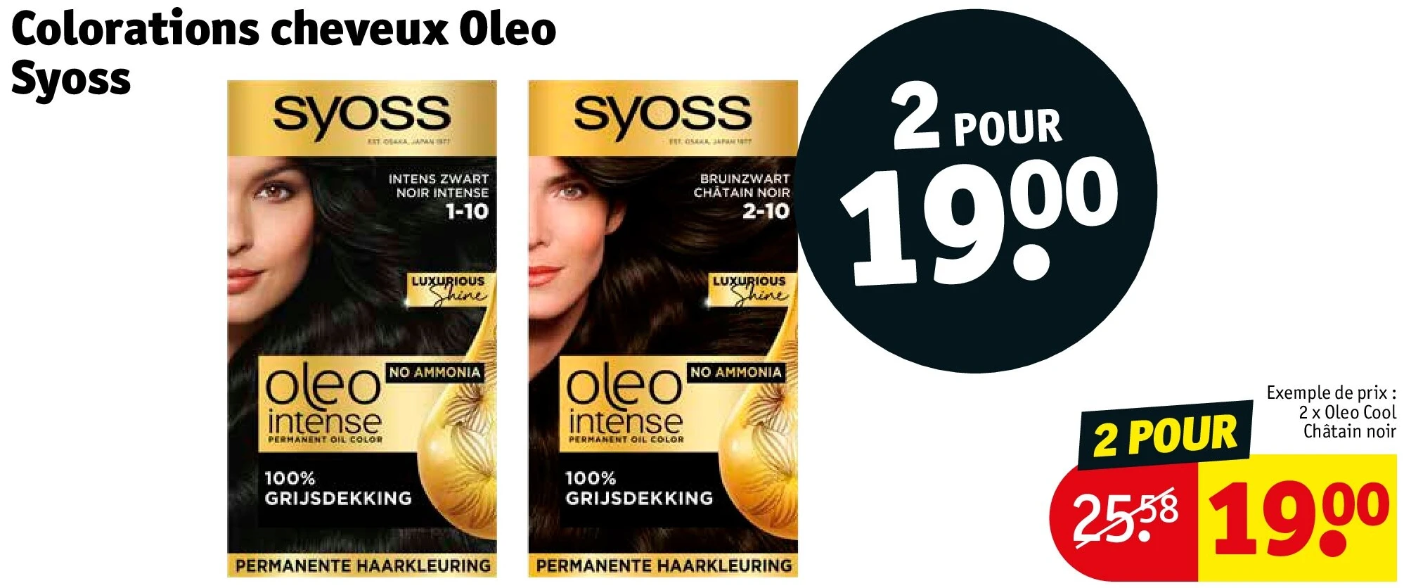 Colorations cheveux Oleo Syoss 2 POUR