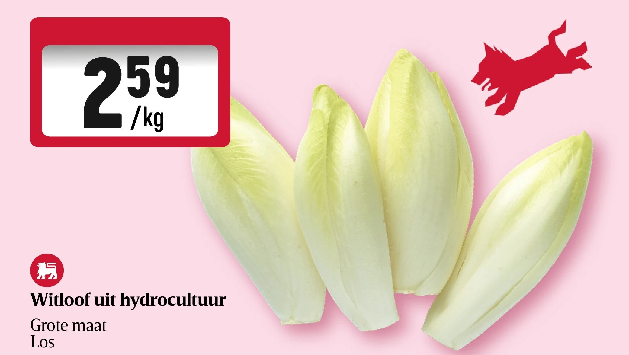 Witloof uit hydrocultuur