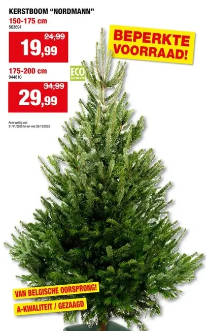 KERSTBOOM “NORDMANN” 150-175 cm