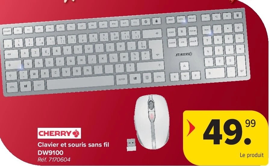 Clavier et souris sans fi l DW9100