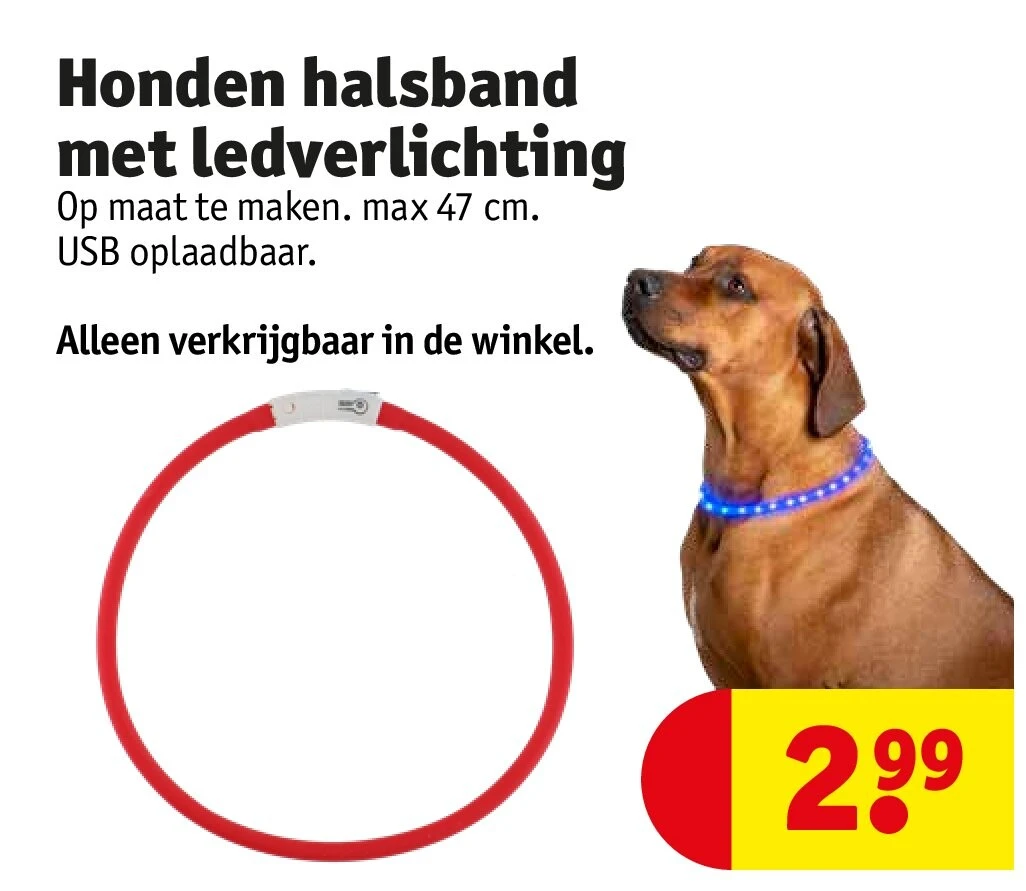 Honden halsband met ledverlichting