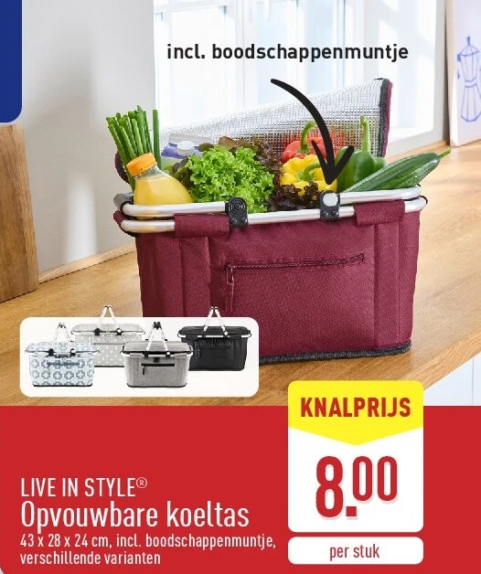 Opvouwbare koeltas