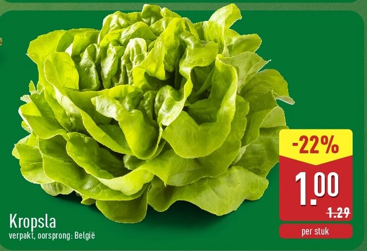 Kropsla