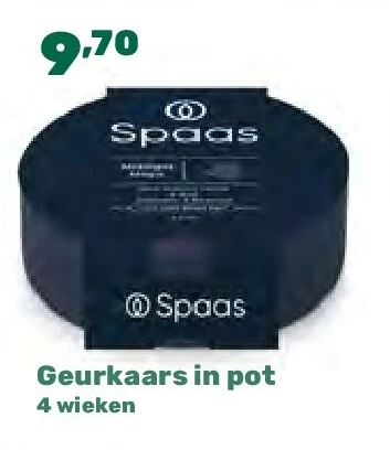 Geurkaars in pot 4 wieken