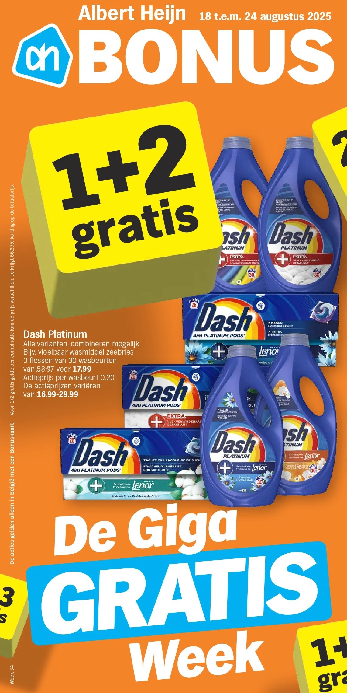 Dash Platinum