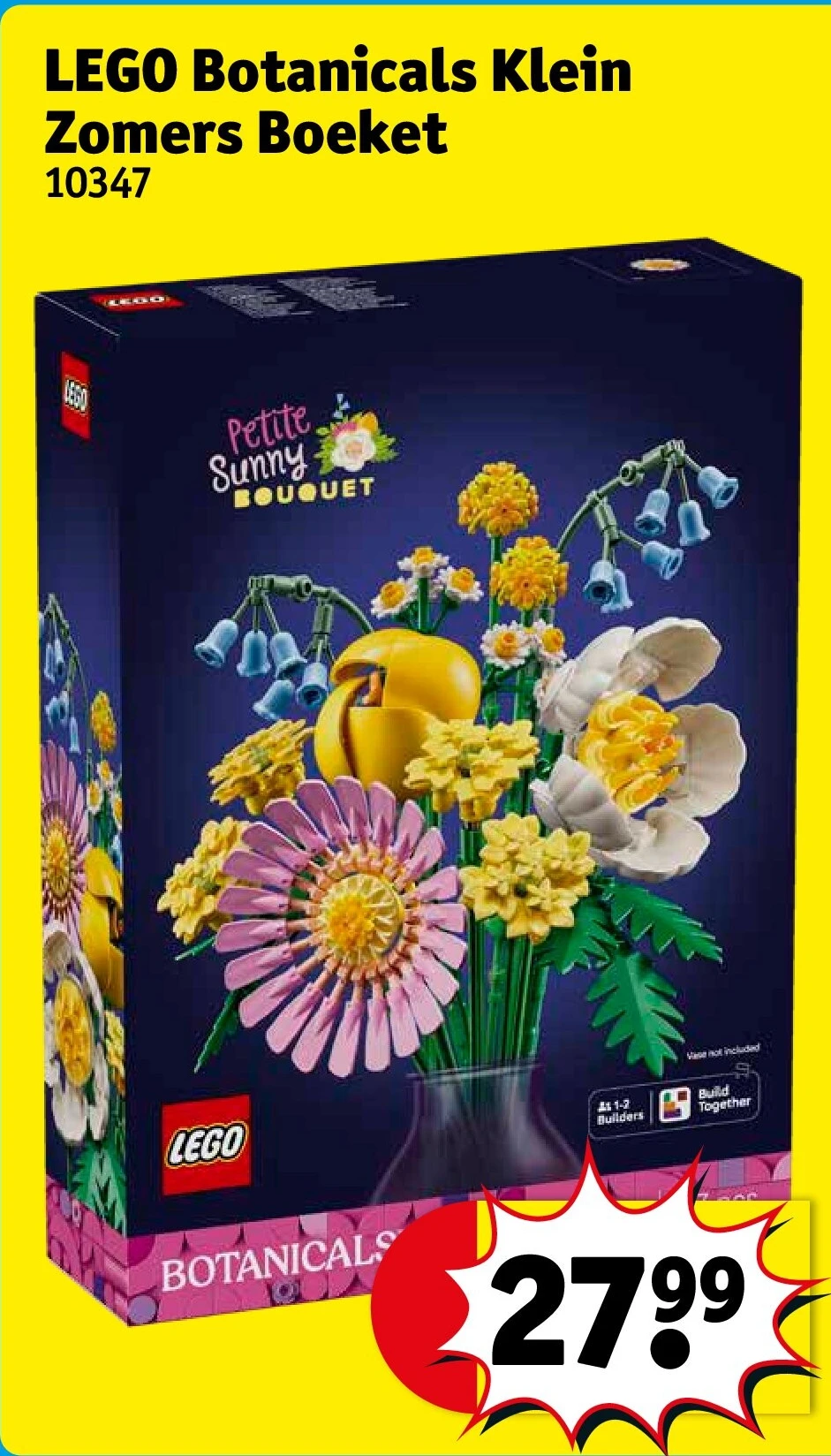 LEGO Botanicals Klein Zomers Boeket