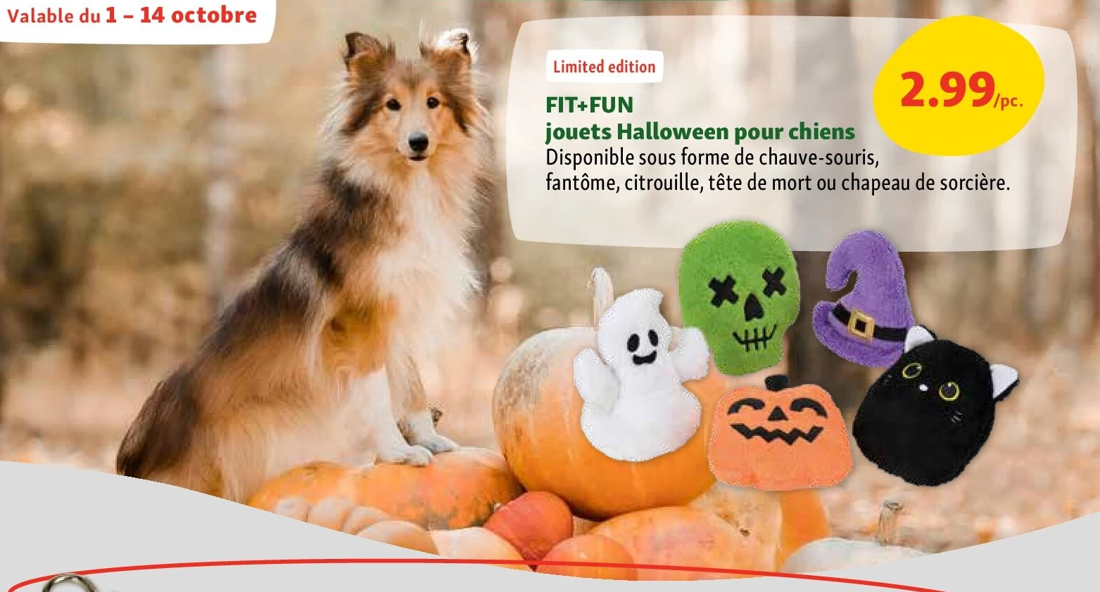 FIT+FUN jouets Halloween pour chiens
