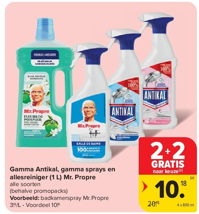 Gamma Antikal, gamma sprays en allesreiniger (1 L) Mr. Propre