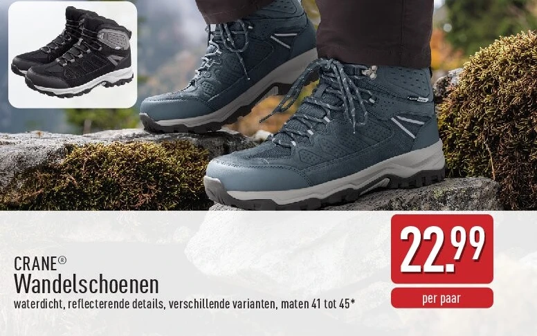 Wandelschoenen
