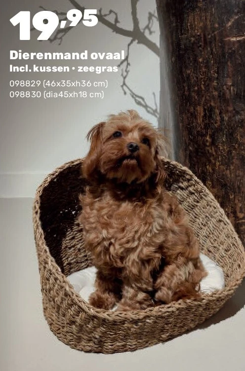 Dierenmand ovaal Incl. kussen • zeegras