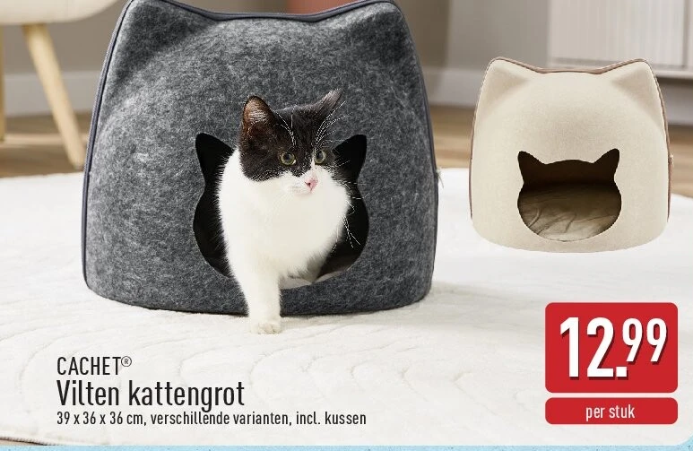 Vilten kattengrot