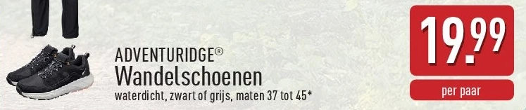 Wandelschoenen
