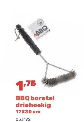 BBQ borstel driehoekig 17X30 cm