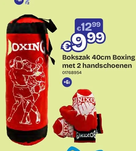 Bokszak 40cm Boxing met 2 handschoenen