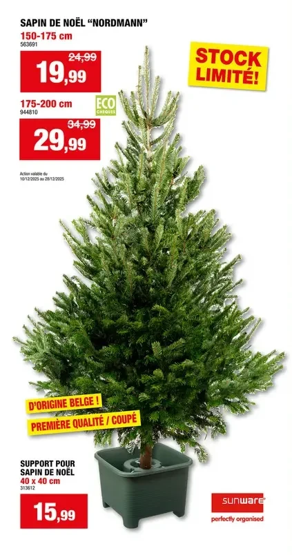 SAPIN DE NOËL "NORDMANN" 150-175 cm