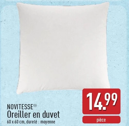 Oreiller en duvet