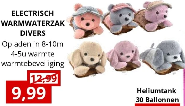 ELECTRISCH WARMWATERZAK DIVERS