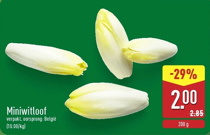 Miniwitloof