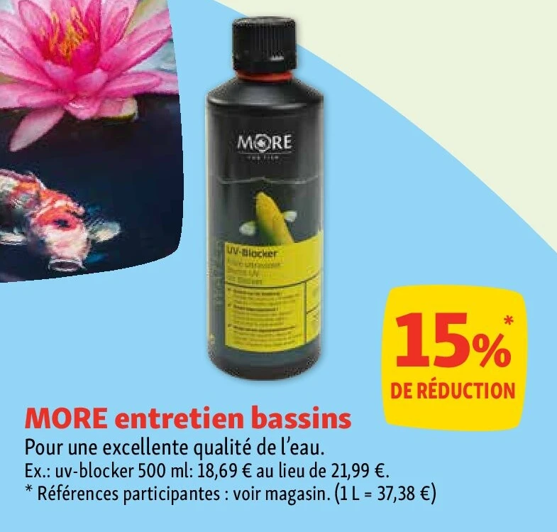 MORE entretien bassins