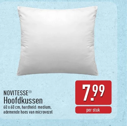 Hoofdkussen